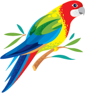 Rosella